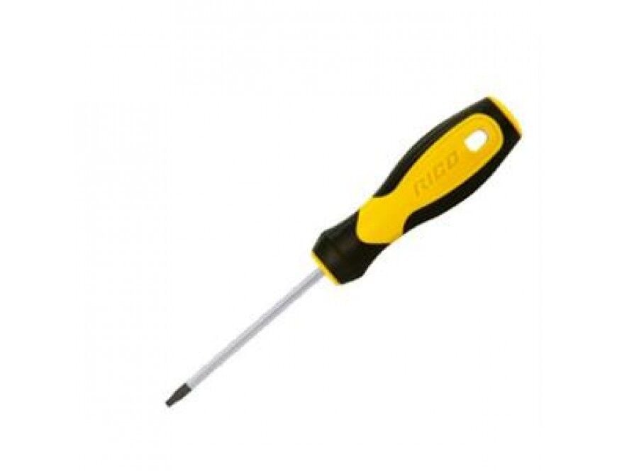 Rico Torx Uçlu Tornavida Delikli T25x100mm