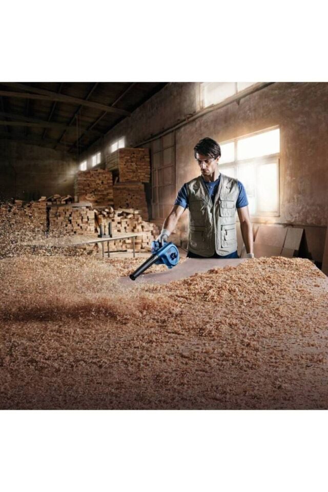 Bosch Gbl 800E Ce Üfleme Makinası (Körük)