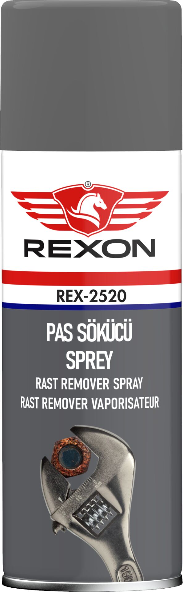 Rexon-2520 Pas Sökücü 200 Ml